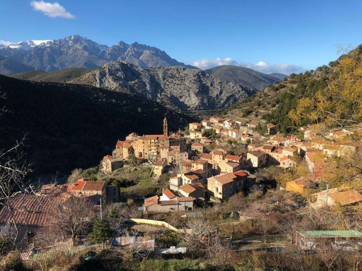 Charmant F2 Dans Joli Village Corse Omessa Exterior photo